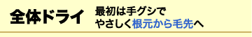 全体ドライ　最初は手グシで　やさしく根元から毛先へ