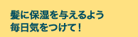 髪に保湿を与えるよう毎日気をつけて！