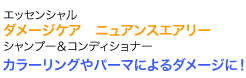 カラーリングやパーマによるダメージに！