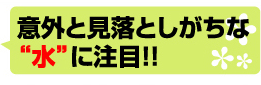 意外と見落としがちな“水”に注目!!