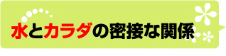 水とカラダの密接な関係