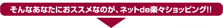 そんなあなたにおススメなのが、ネットde楽々ショッピング！！