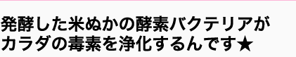 発酵した米ぬかの酵素バクテリアがカラダの毒素を浄化するんです★