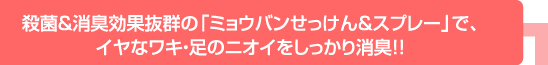殺菌&消臭効果抜群の「ミョウバンせっけん&スプレー」で、 イヤなワキ・足のニオイをしっかり消臭!!