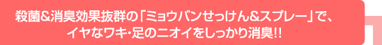 殺菌＆消臭効果抜群の「ミョウバンせっけん＆スプレー」で、 イヤなワキ・足のニオイをしっかり消臭!!