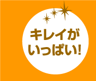 キレイが いっぱい!