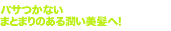 パサつかないまとまりのある潤い美髪へ！