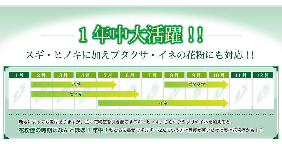 スギ・ヒノキに加えブタクサ・イネの花粉にも対応