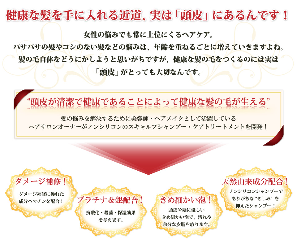 健康な髪を手に入れる近道、実は「頭皮」にあるんです！女性の悩みでも常に上位にくるヘアケア。パサパサの髪やコシのない髪などの悩みは、年齢を重ねるごとに増えていきますよね。髪の毛自体をどうにかしようと思いがちですが、健康な髪の毛をつくるのには実は「頭皮」がとっても大切なんです。“頭皮が清潔で健康であることによって健康な髪の毛が生える”髪の悩みを解決するために美容師・ヘアメイクとして活躍しているヘアサロンオーナーがノンシリコンの頭皮スキャルプシャンプー＆ケアトリートメントを開発！ダメージ補修！
プラチナ＆銀配合！きめ細かい泡！天然由来成分配合！