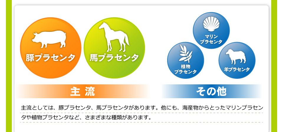 主流としては、豚プラセンタ、馬プラセンタがあります。他にも、海産物からとったマリンプラセンタや植物プラセンタなど、さまざまな種類があります。