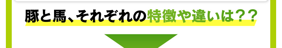 豚と馬、それぞれの特徴や違いは？？