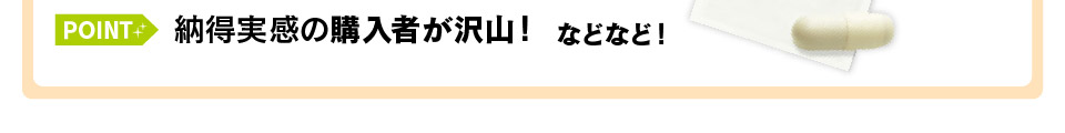 納得実感の購入者が沢山！などなど！