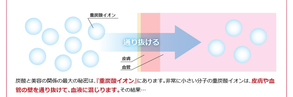 皮膚や血管の壁を通り抜けて、血液に混じります。