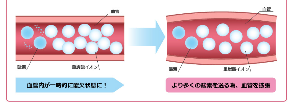 血管内が一時的に酸欠状態に！より多くの酸素を送る為、血管を拡張