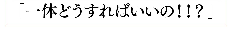 「一体どうすればいいの！！？」