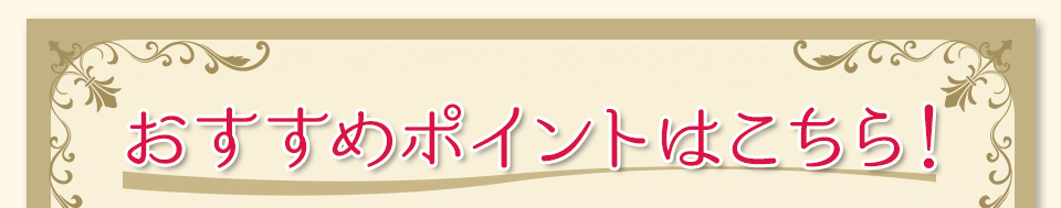 おすすめポイントはこちら！