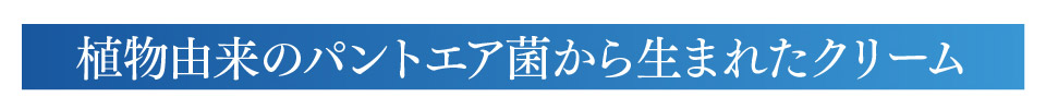 植物由来のパントエア菌から生まれたクリーム