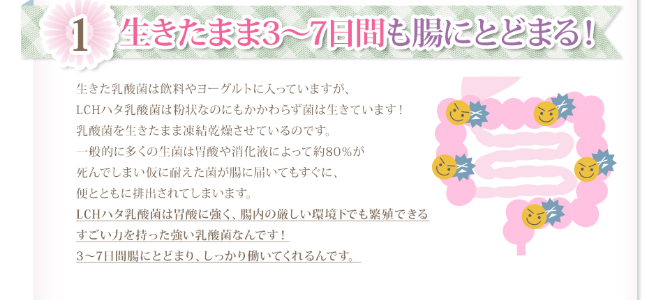 １・生きたまま３～７日間も腸にとどまる！