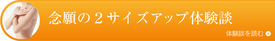 ボタン