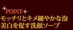 POINT　モッチリとキメ細やかな泡　美白を促す洗顔ソープ