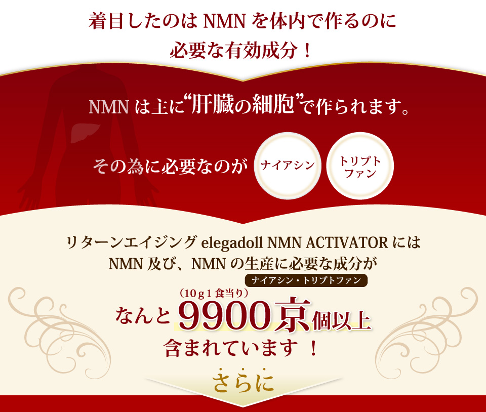 NMNは主に肝臓の細胞で作られます。その為に必要なのがナイアシン/トリプトファン。リターンエイジングelegadoll NMN ACTIVATORにはNMN及び、NMNの生産に必要な成分がなんと9900京個（10g1食当り）以上含まれています ！