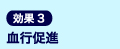効果3血行促進