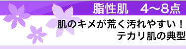 脂性肌　4〜8点　肌のキメが荒く汚れやすい！テカリ肌の典型