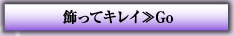 飾ってキレイ≫Go 