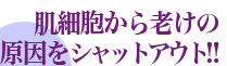 肌細胞から老けの原因をシャットアウト!!