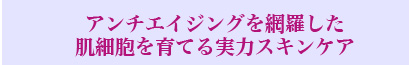 アンチエイジングを網羅した肌細胞を育てる魔法のスキンケア