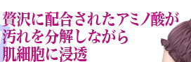 贅沢に配合されたアミノ酸が汚れを分解しながら肌細胞に浸透