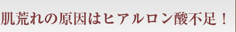 肌荒れの原因はヒアルロン酸不足！