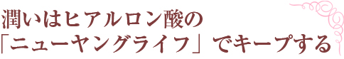 潤いはヒアルロン酸の「ニューヤングライフ」でキープする