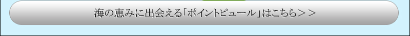 海の恵みに出会える「ポイントピュール」はこちら＞＞