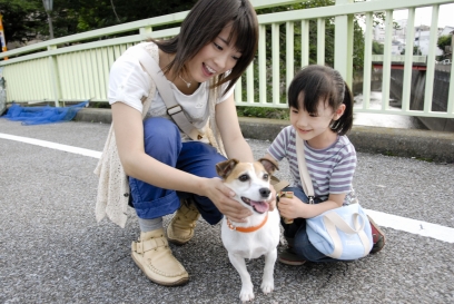 犬とあなたの物語