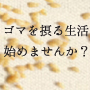 ゴマを摂る生活始めませんか？三育フーズゴマクリーム。