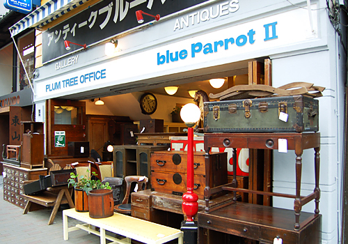 antique blue ParrotⅡ
