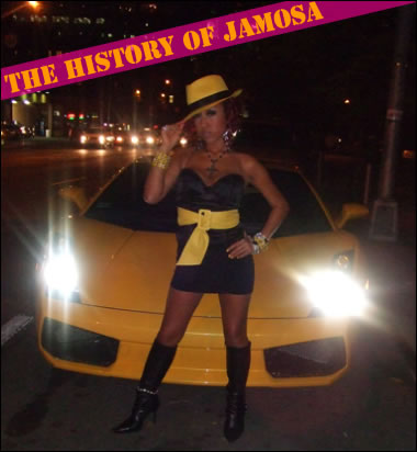 The history of JAMOSA