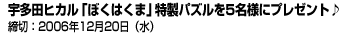 宇多田ヒカル「ぼくはくま」特製パズルを5名様にプレゼント♪  締切：2006年12月20日