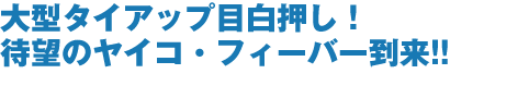 大型タイアップ目白押し！待望のヤイコ・フィーバー到来!!