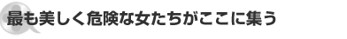 最も美しく危険な女たちがここに集う