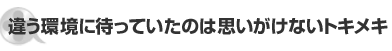 違う環境に待っていたのは思いがけないトキメキ