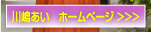 川嶋あい　ホームページ　>>>