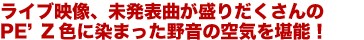 ライブ映像、未発表曲が盛りだくさんのPE’Z色に染まった野音の空気を堪能！