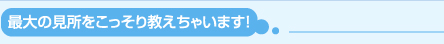 最大の見所をこっそり教えちゃいます！