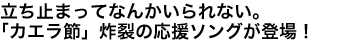 立ち止まってなんかいられない。「カエラ節」炸裂の応援ソングが登場！