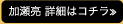 加瀬亮　詳細はコチラ≫