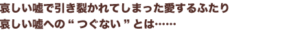 哀しい嘘で引き裂かれてしまった愛するふたり
哀しい嘘への“つぐない”とは……
