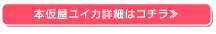 本仮屋ユイカ詳細はコチラ≫