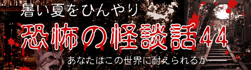 暑い夏をひんやり　恐怖の怪談話44　あなたはこの世界に耐えられるか——